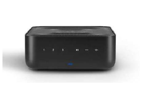 Denon Home Amp