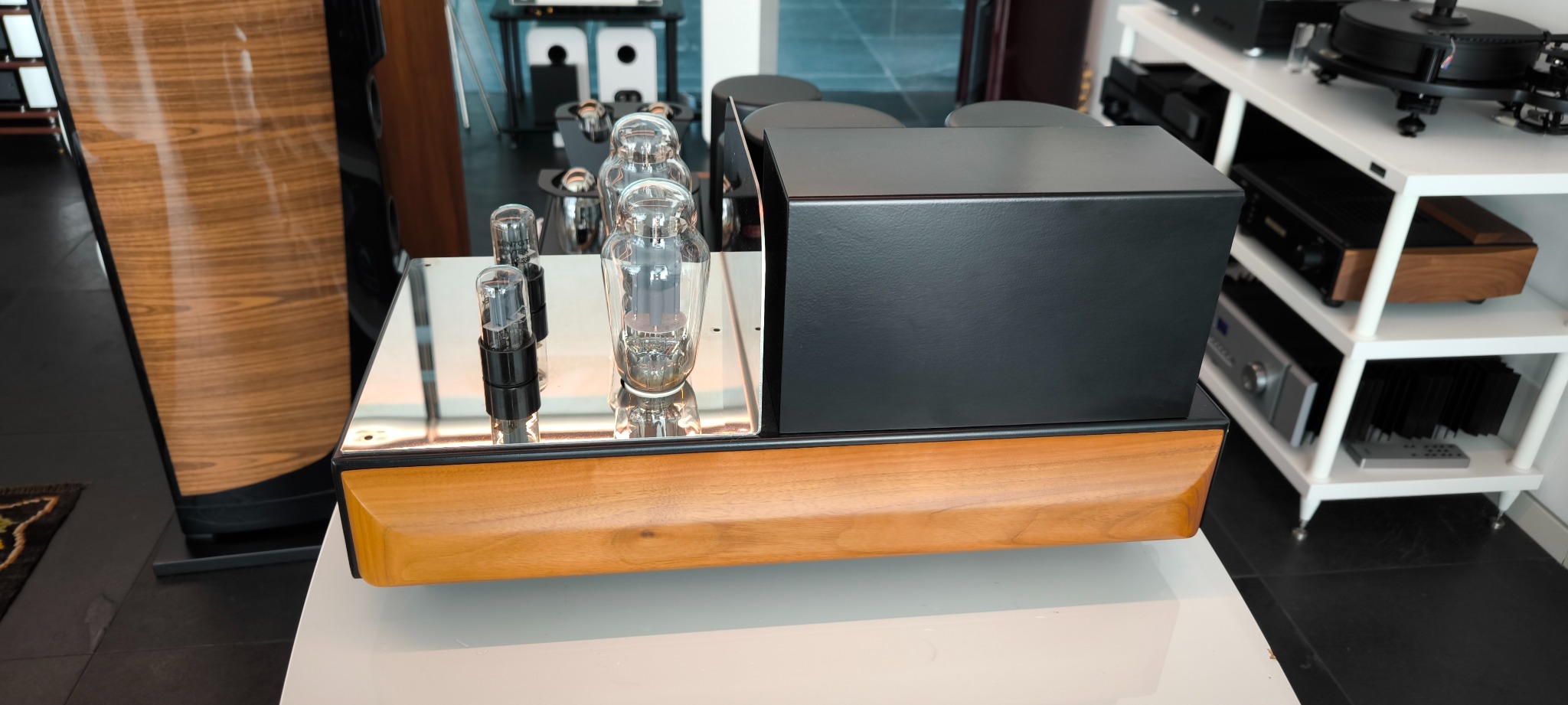 MastersounD Monoblock 300B - immagine 10