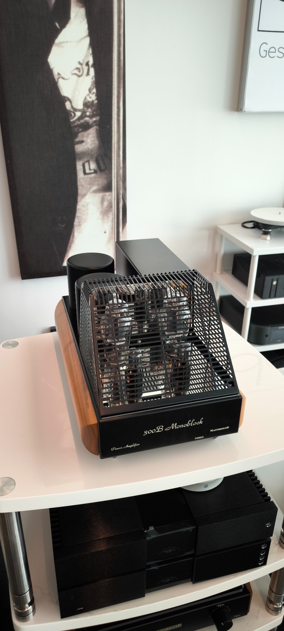 MastersounD Monoblock 300B - immagine 14